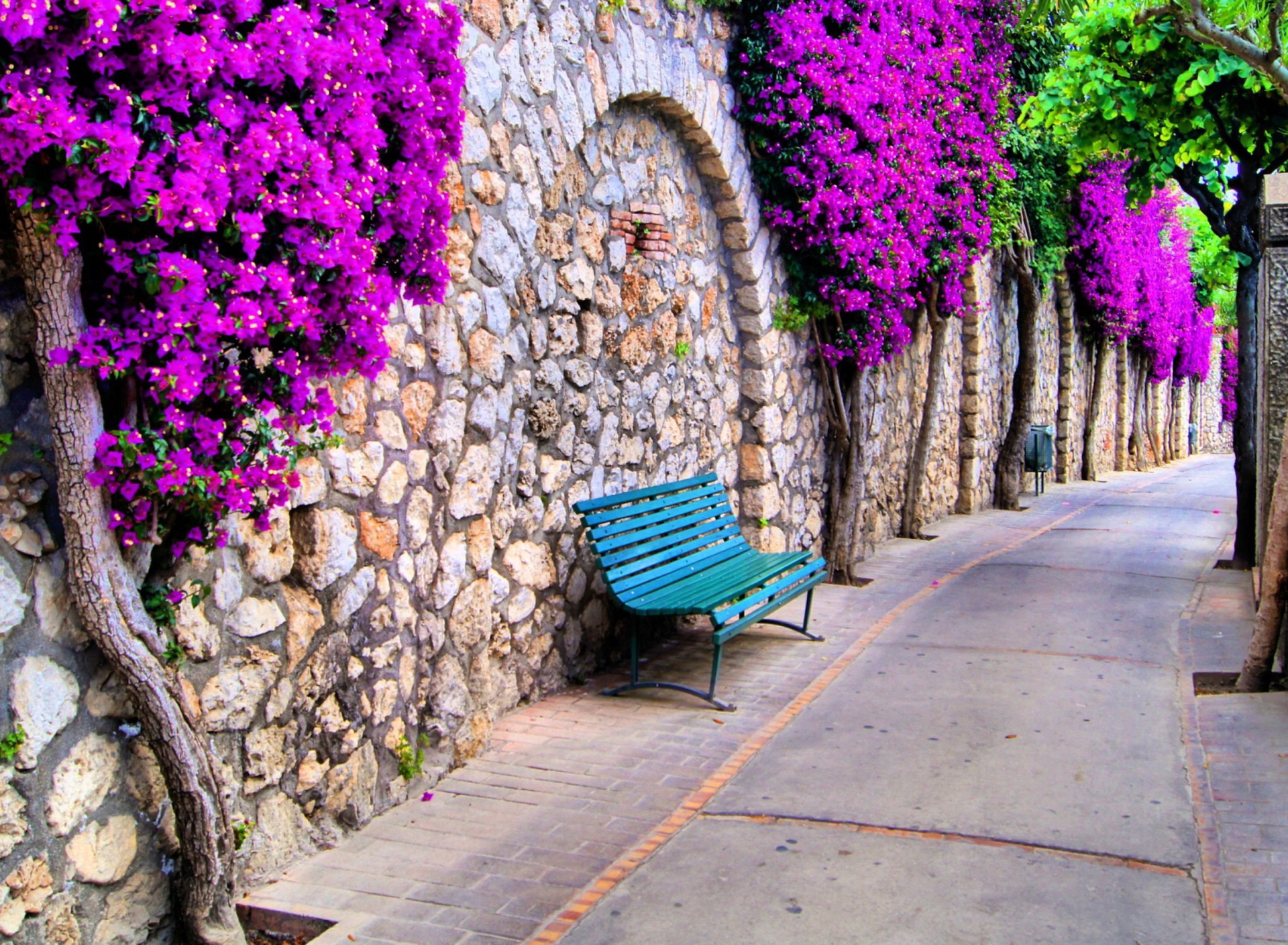 Bench And Purple Flowers wallpaper 1920x1408