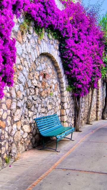 Das Bench And Purple Flowers Wallpaper 360x640