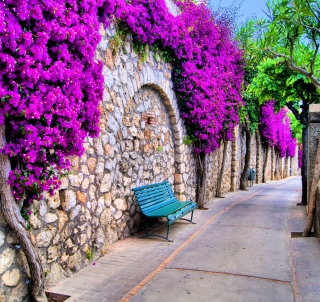 Kostenloses Bench And Purple Flowers Wallpaper für 1024x1024