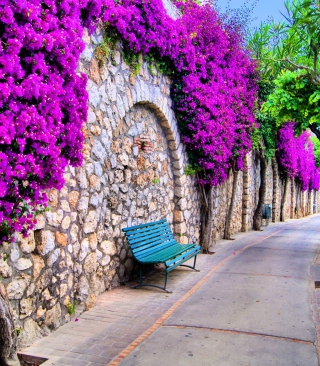 Bench And Purple Flowers - Obrázkek zdarma pro Nokia Asha 503
