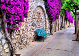Bench And Purple Flowers - Obrázkek zdarma 