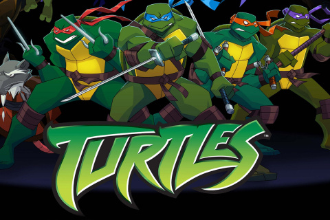 Das Turtles Forever Wallpaper 480x320