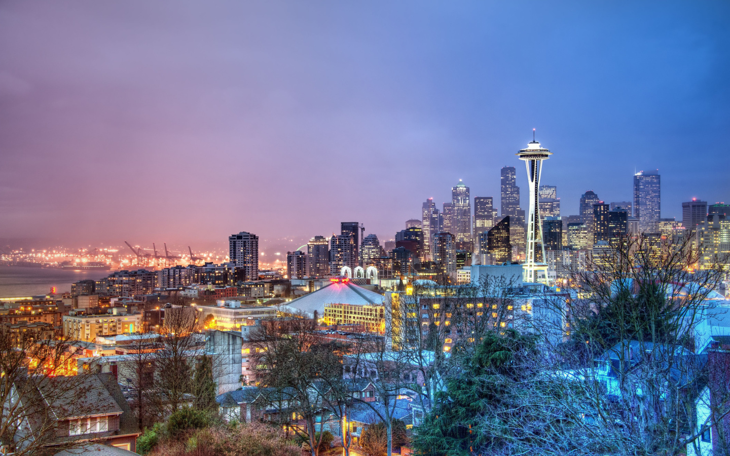 Screenshot №1 pro téma Seattle Panorama Photo 1440x900