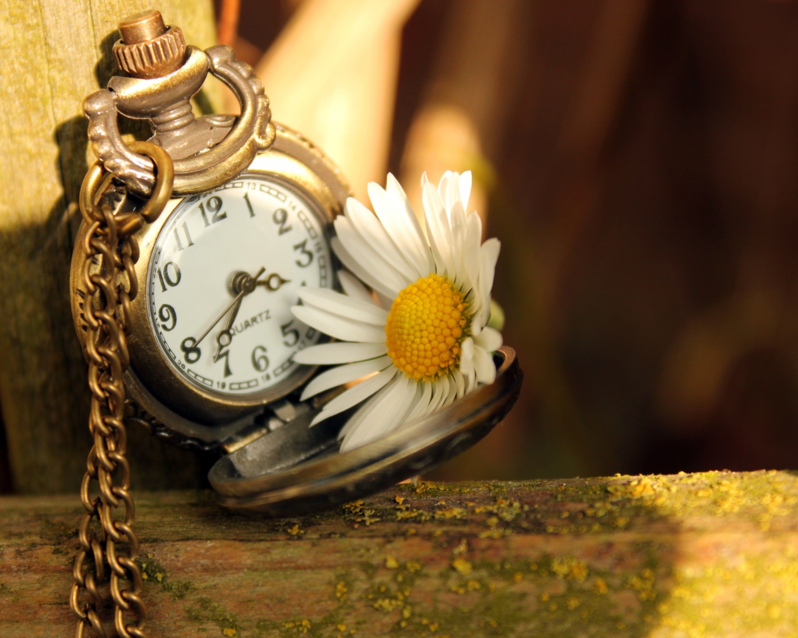 Das Vintage Watch And Daisy Wallpaper 1600x1280