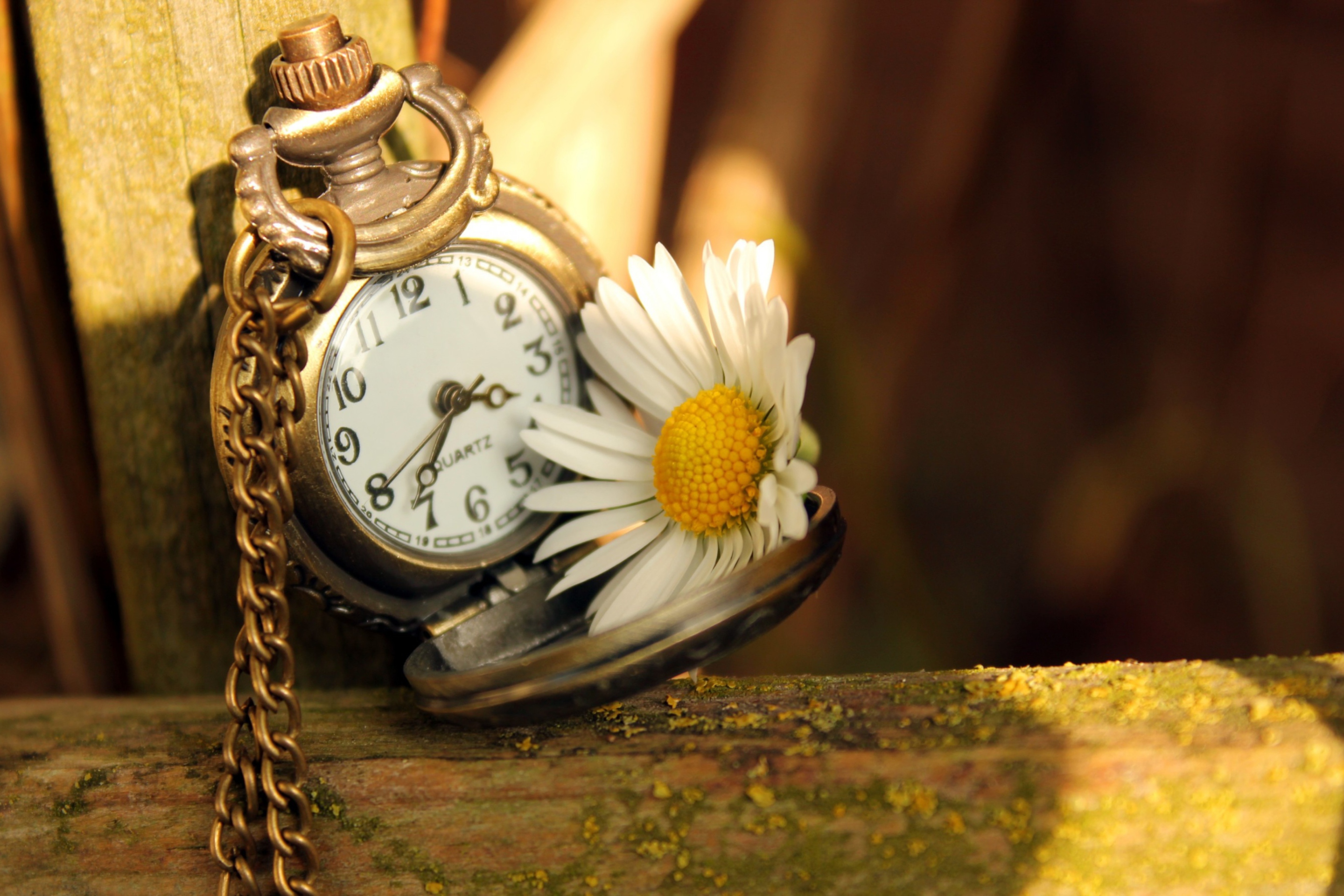 Das Vintage Watch And Daisy Wallpaper 2880x1920