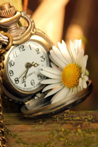 Fondo de pantalla Vintage Watch And Daisy 320x480