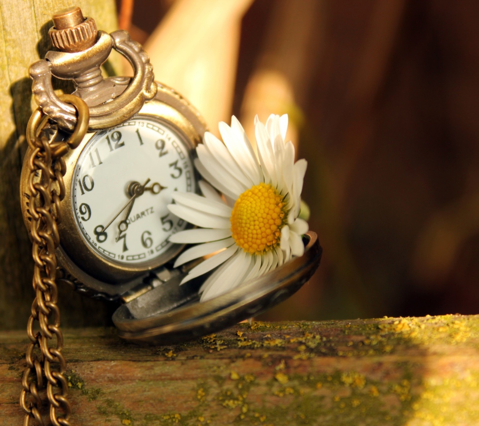 Vintage Watch And Daisy wallpaper 960x854