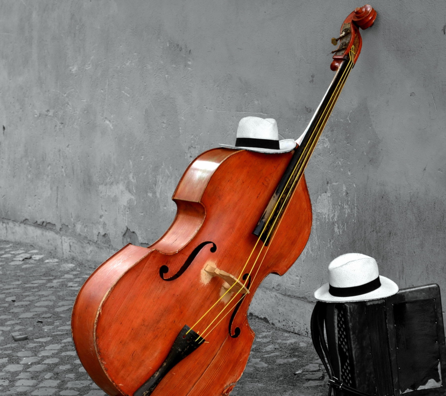 Contrabass And Hat On Street wallpaper 1440x1280