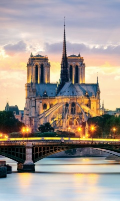 Обои Notre Dame de Paris Catholic Cathedral 240x400