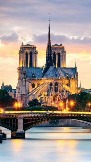 Das Notre Dame de Paris Catholic Cathedral Wallpaper 360x640