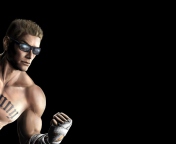 Screenshot №1 pro téma Johnny Cage form Mortal Kombat 176x144
