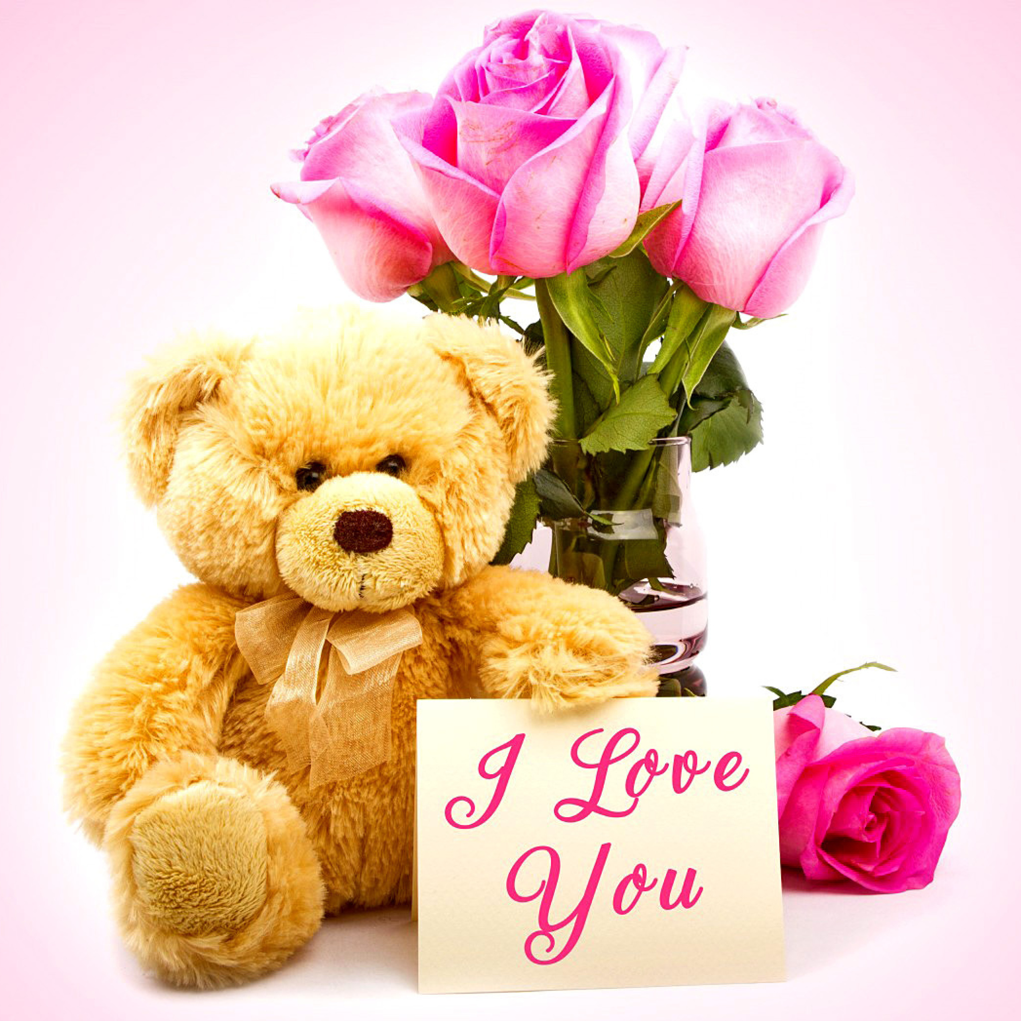 Fondo de pantalla Valentines Day, Teddy Bear 2048x2048