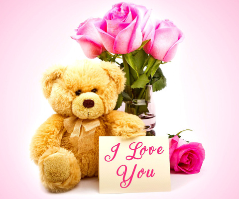 Sfondi Valentines Day, Teddy Bear 480x400