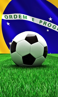 Screenshot №1 pro téma World Cup 2014 Brazil 240x400