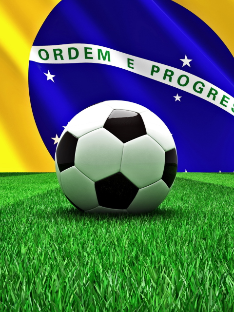 Das World Cup 2014 Brazil Wallpaper 480x640
