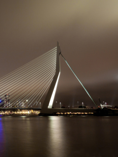 Das Erasmus Bridge Rotterdam Wallpaper 240x320