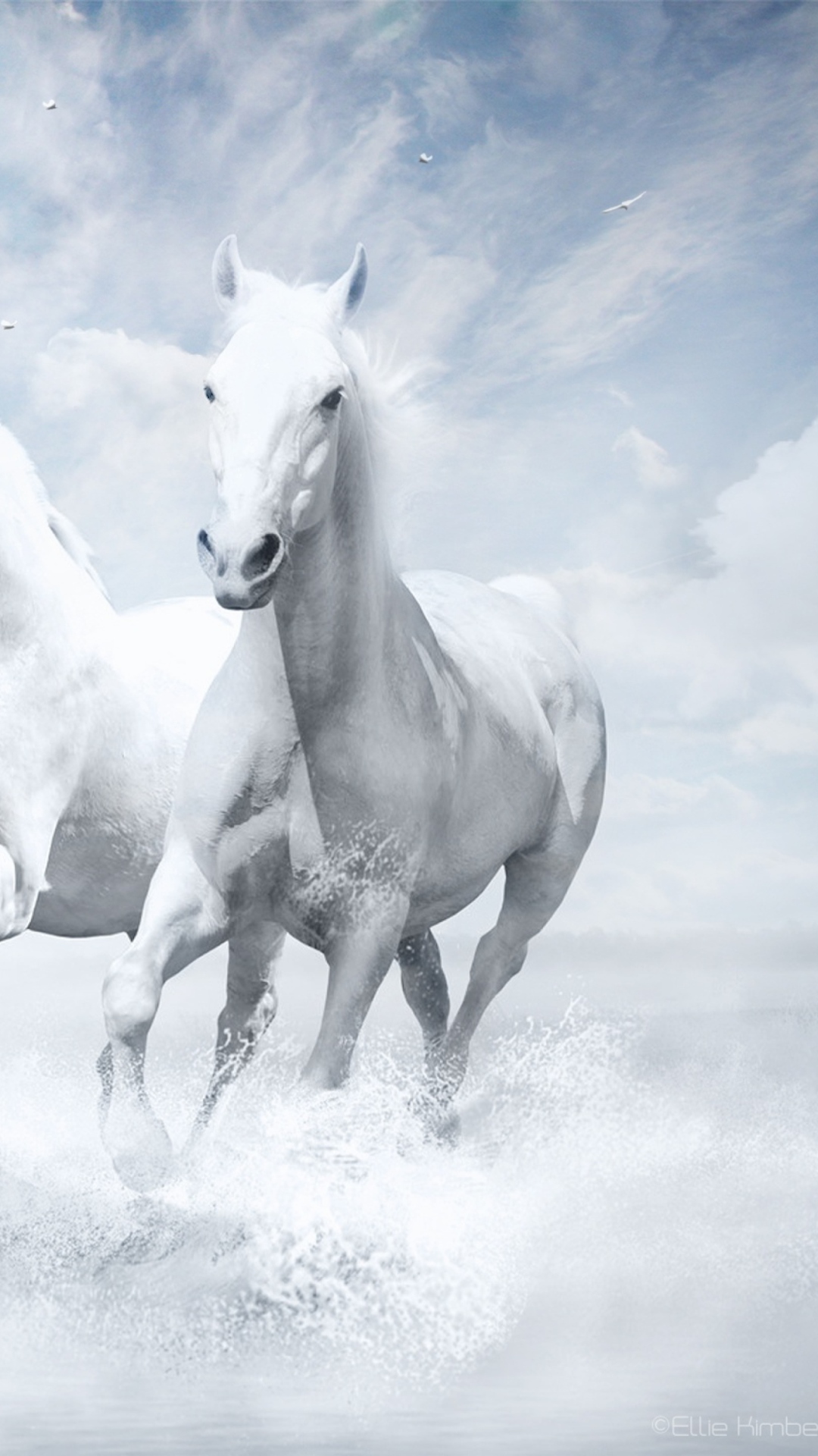 Sky Horses wallpaper 1080x1920