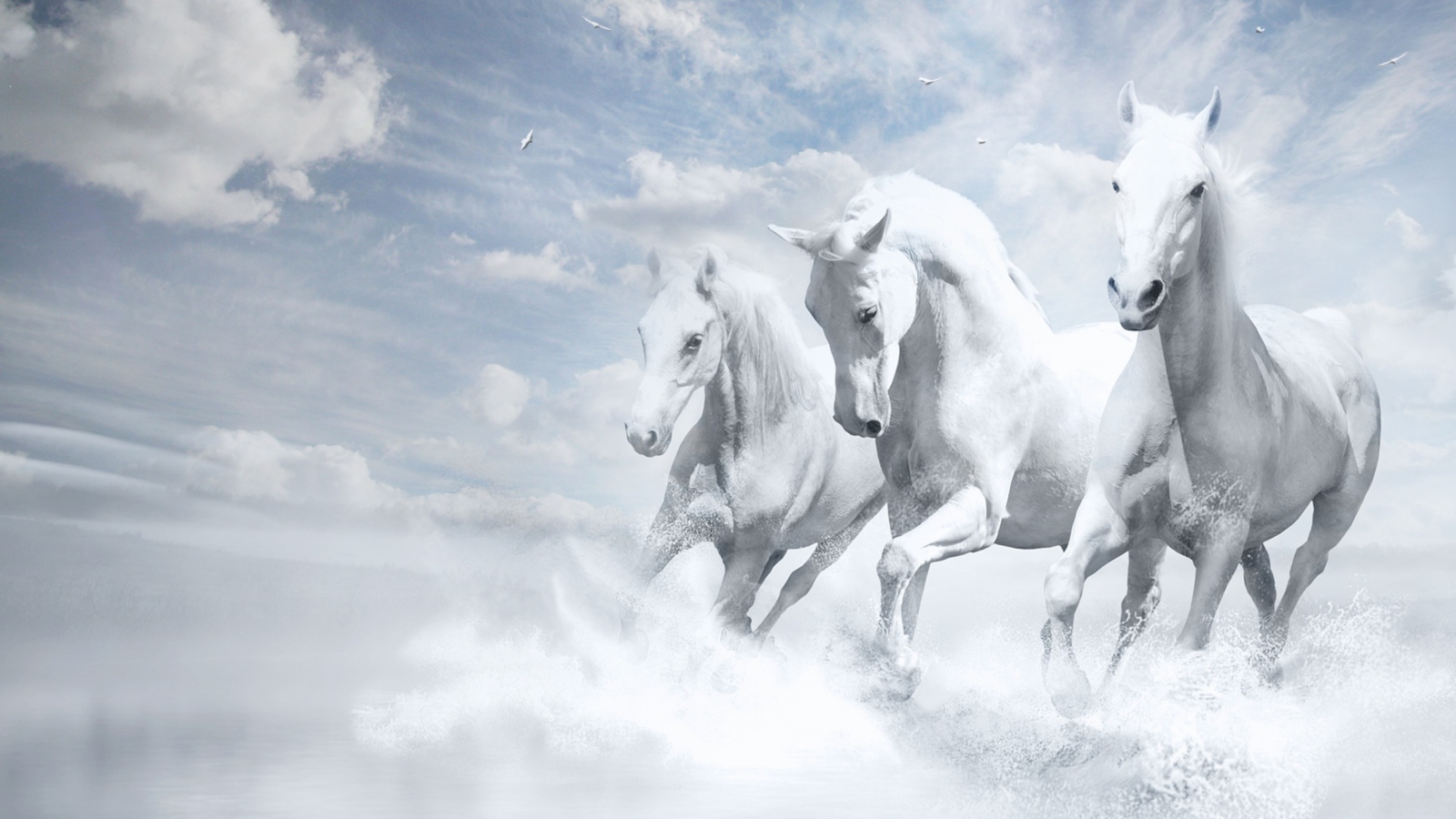 Screenshot №1 pro téma Sky Horses 1600x900