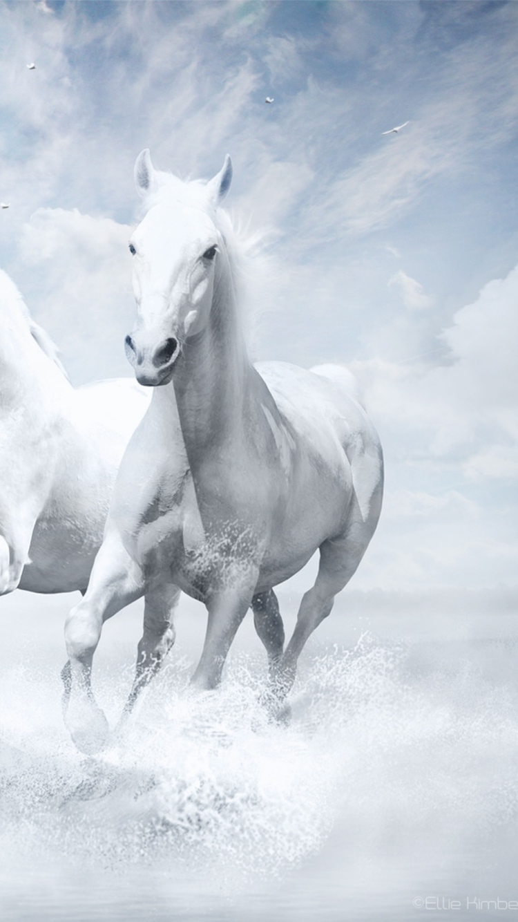 Screenshot №1 pro téma Sky Horses 750x1334