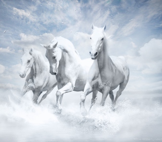 Kostenloses Sky Horses Wallpaper für 128x128