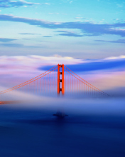 Fondo de pantalla San Francisco Golden Gate 176x220