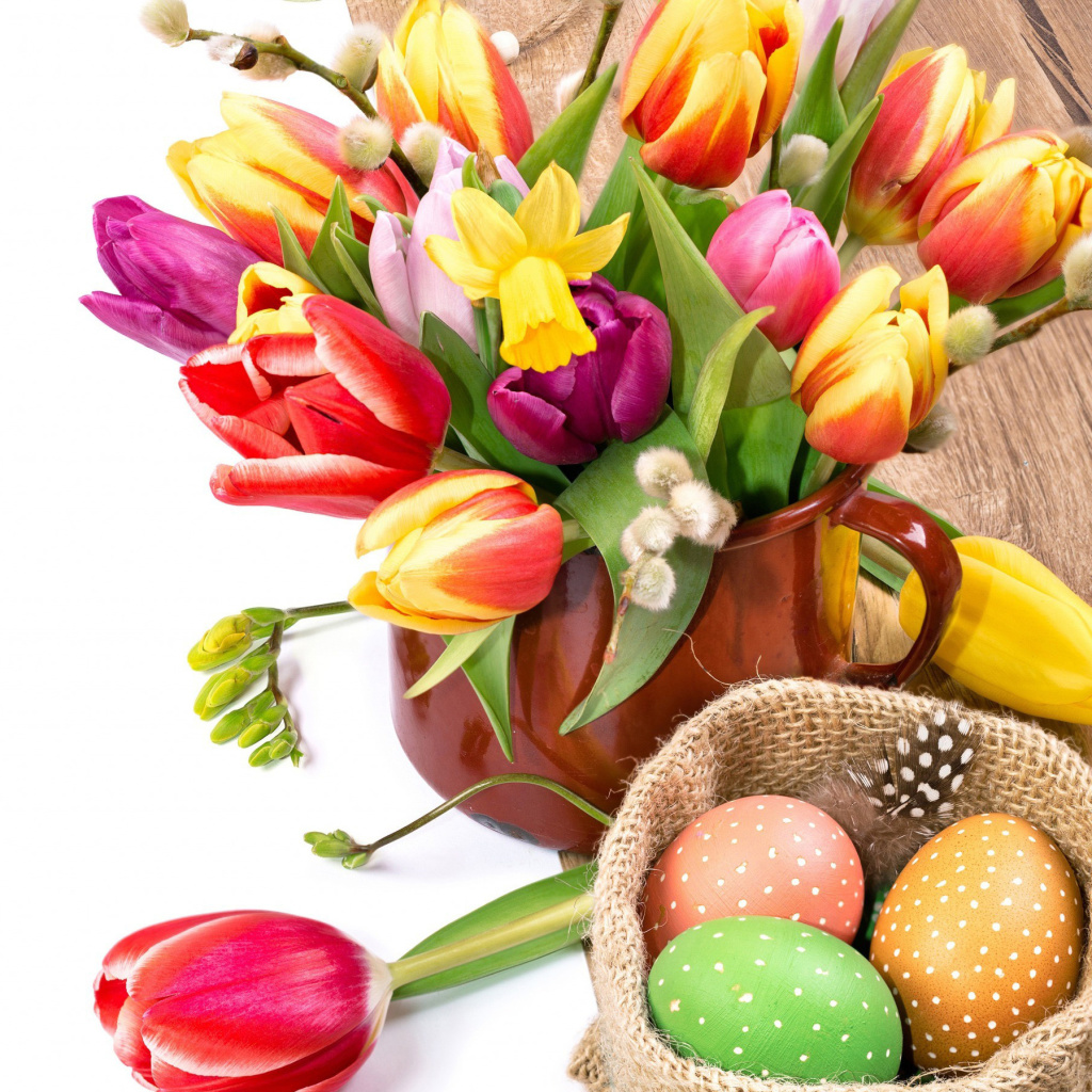 Freshness Tulips wallpaper 1024x1024