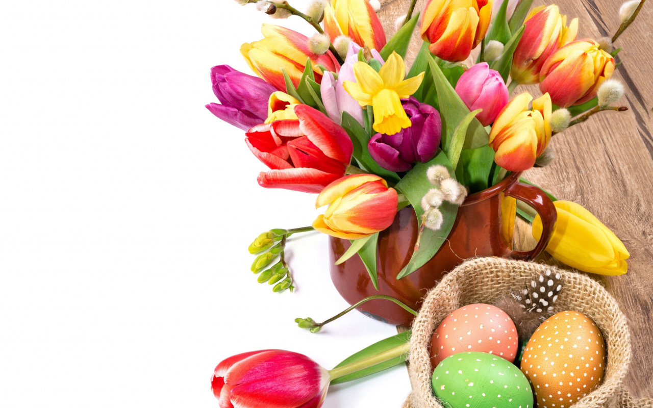 Freshness Tulips wallpaper 1280x800