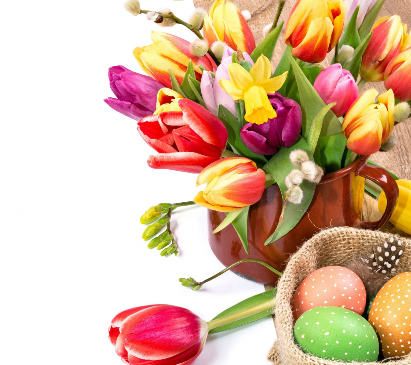 Обои Freshness Tulips 1440x1280