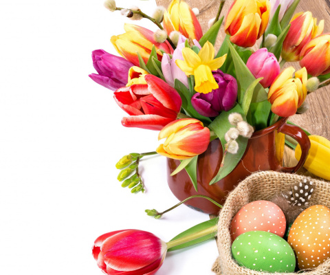 Freshness Tulips screenshot #1 480x400