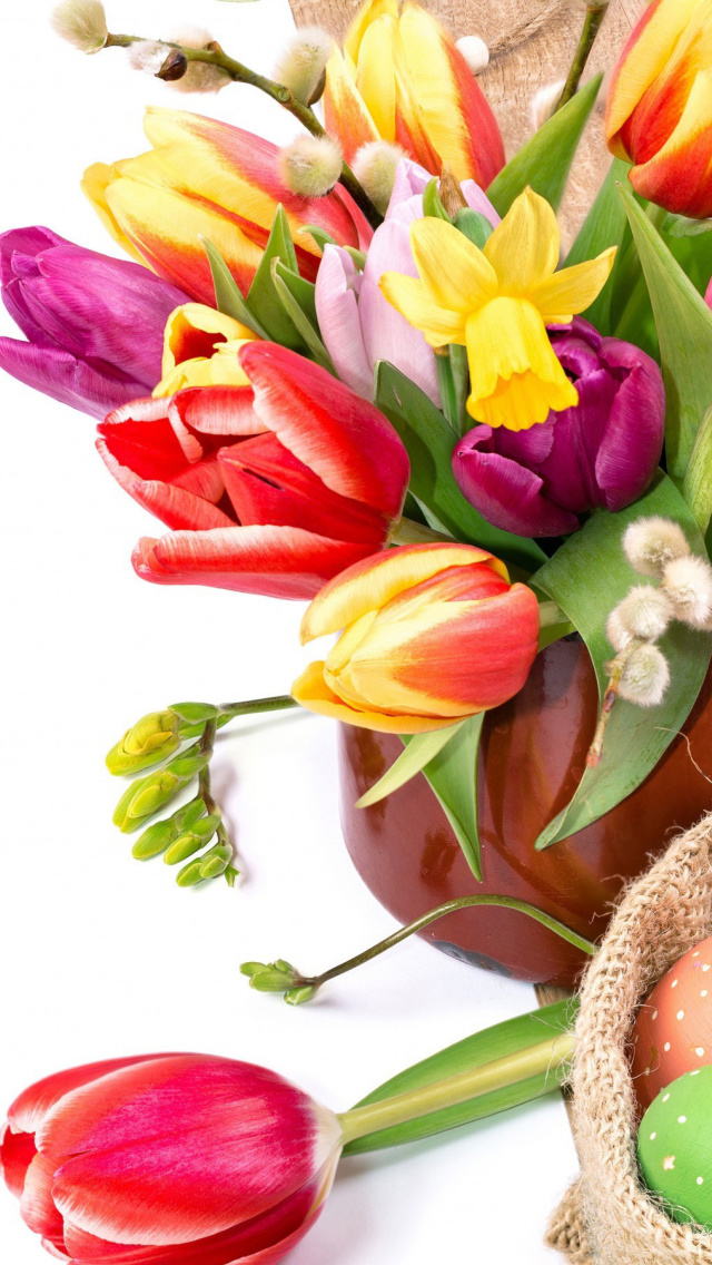 Das Freshness Tulips Wallpaper 640x1136