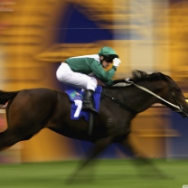 Screenshot №1 pro téma Horse Racing 208x208