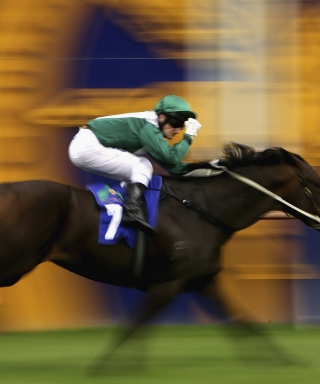 Horse Racing - Obrázkek zdarma pro iPhone 6