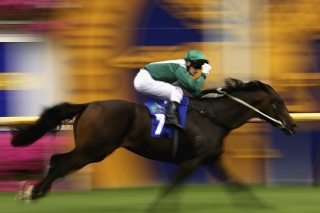 Horse Racing Picture for Android, iPhone and iPad