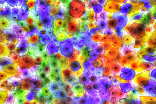 Colorful Glass Design - Obrázkek zdarma pro 176x144