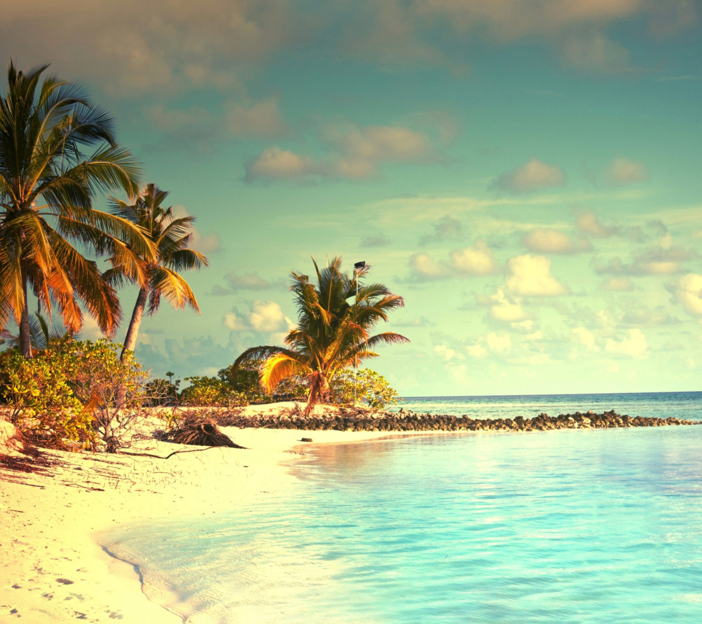 Tropical Ocean Vacation wallpaper 1440x1280
