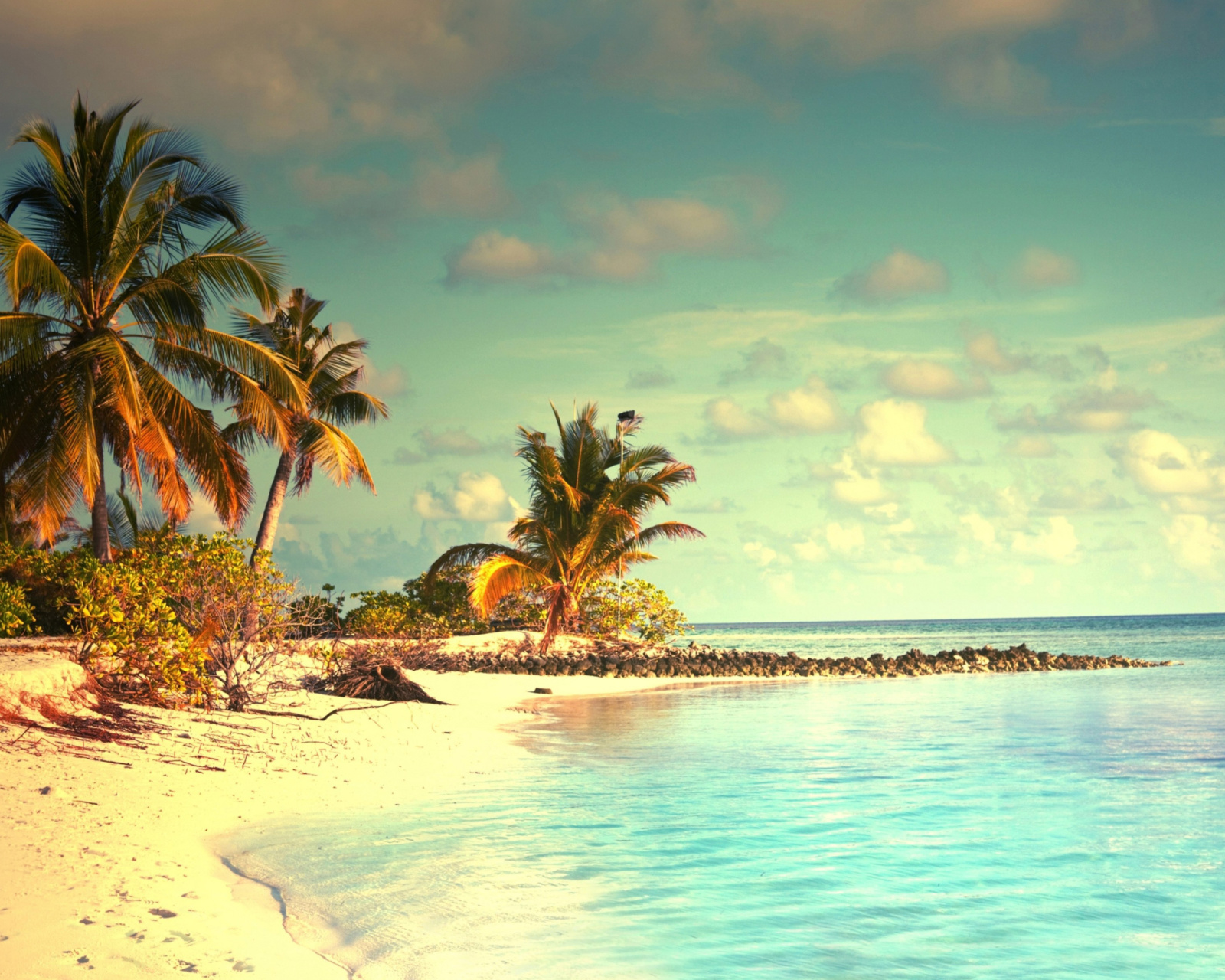 Screenshot №1 pro téma Tropical Ocean Vacation 1600x1280