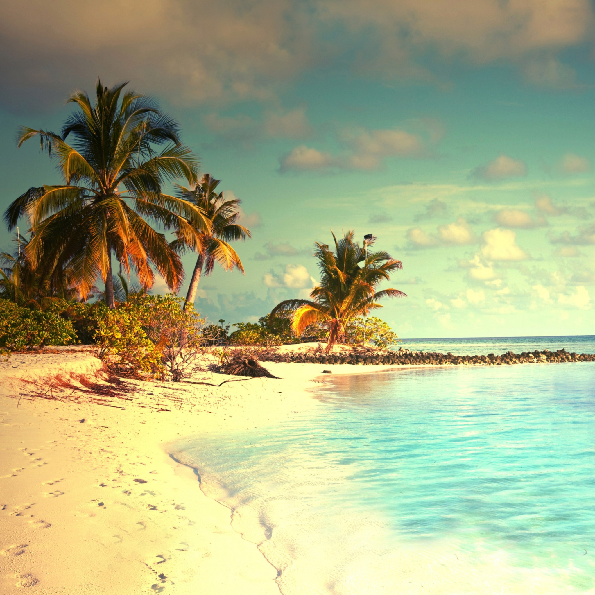 Screenshot №1 pro téma Tropical Ocean Vacation 2048x2048