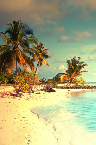 Tropical Ocean Vacation wallpaper 320x480