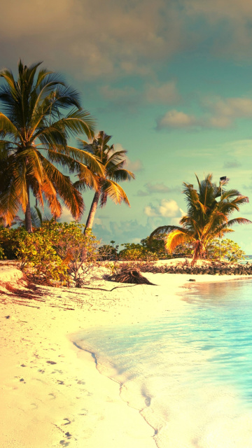 Tropical Ocean Vacation wallpaper 360x640