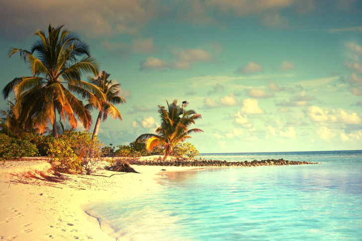 Das Tropical Ocean Vacation Wallpaper
