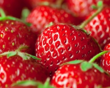 Fresh And Juicy Strawberry wallpaper 220x176