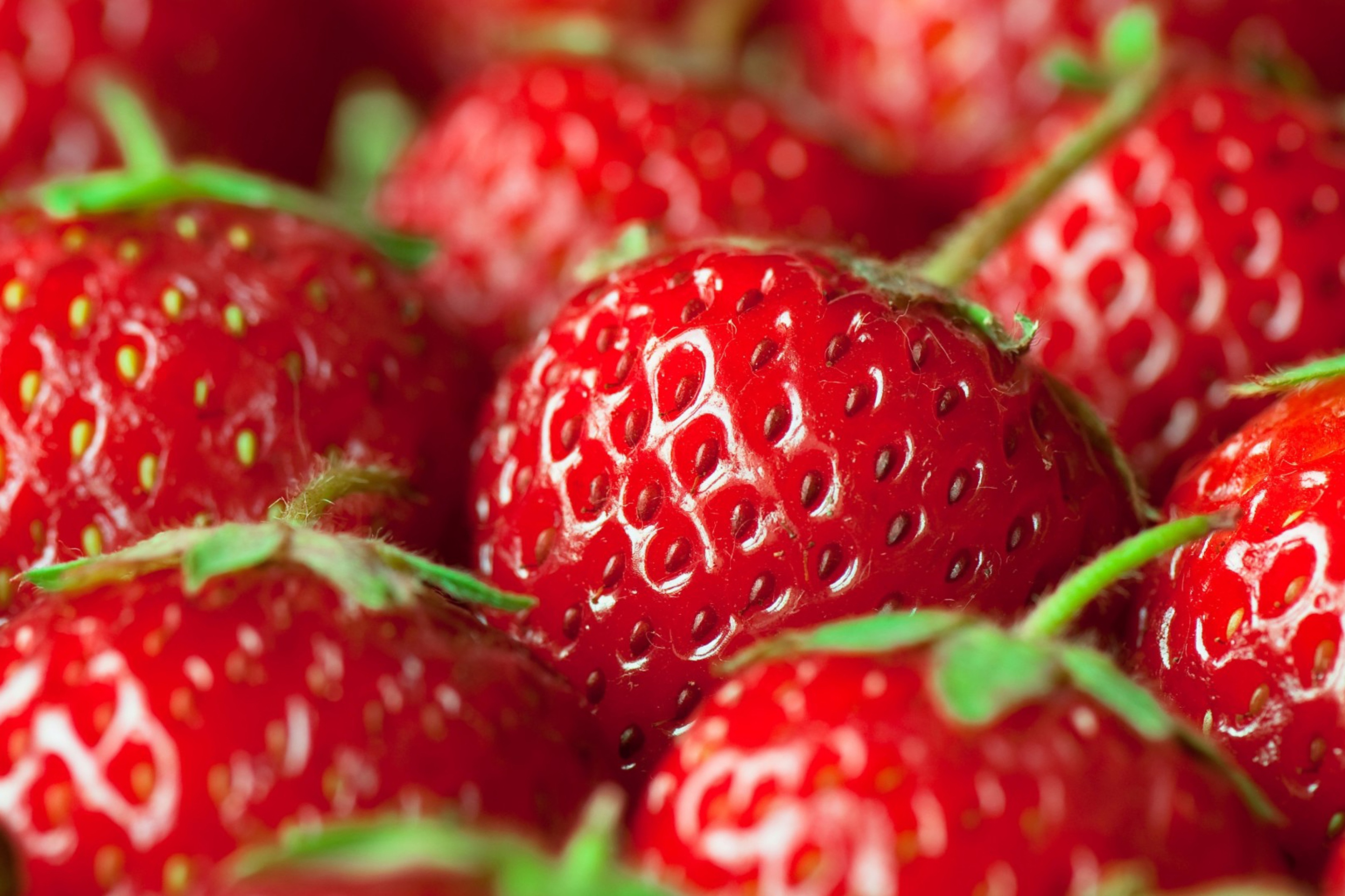 Fresh And Juicy Strawberry wallpaper 2880x1920