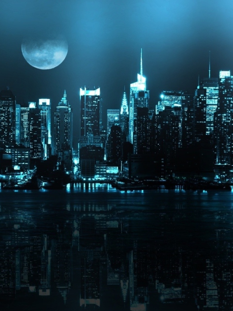 City In Moonlight screenshot #1 480x640