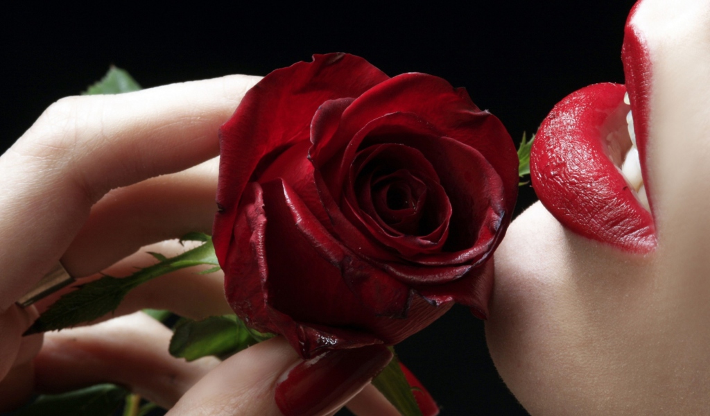 Обои Red Rose - Red Lips 1024x600