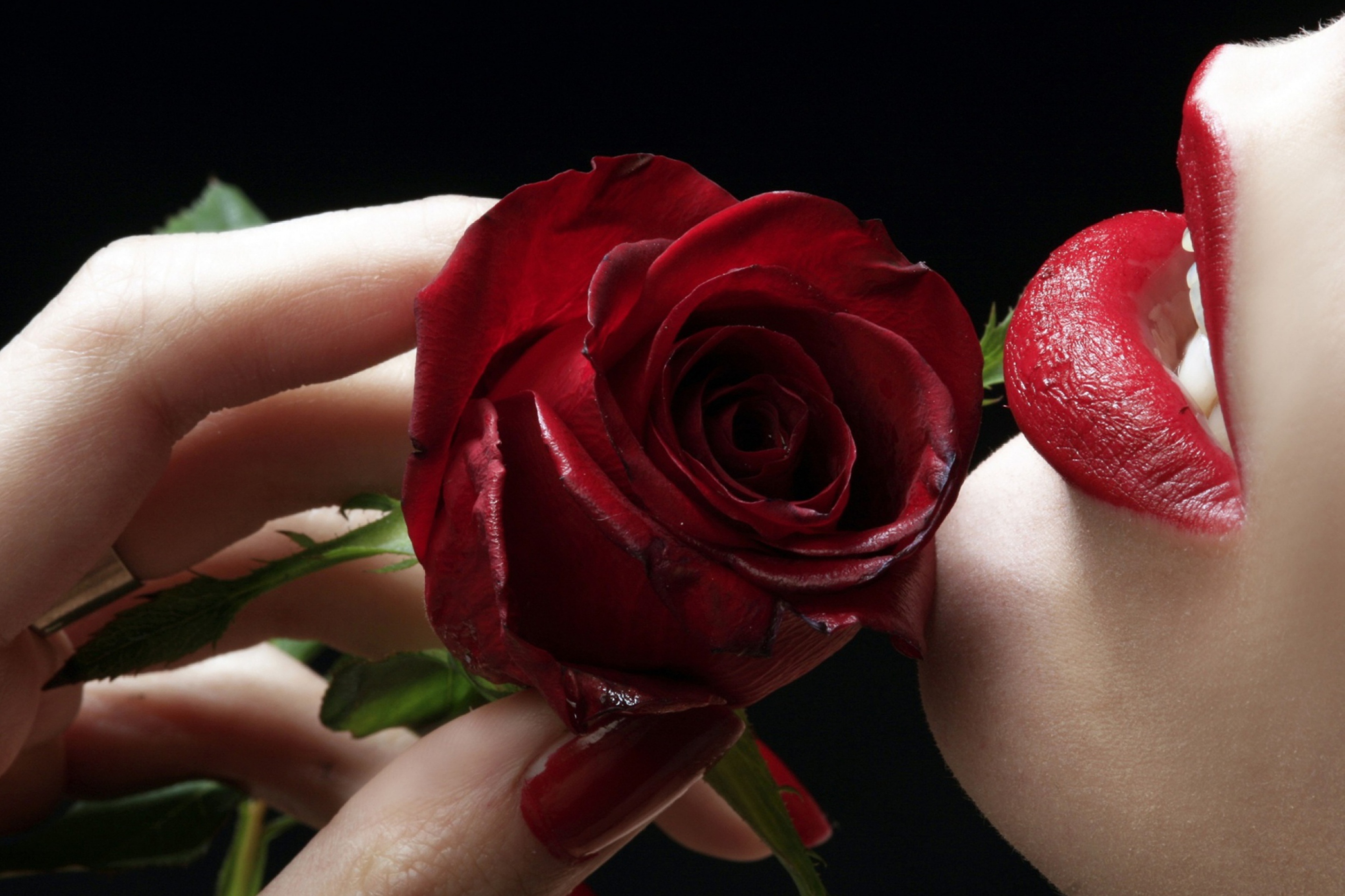 Red Rose - Red Lips wallpaper 2880x1920
