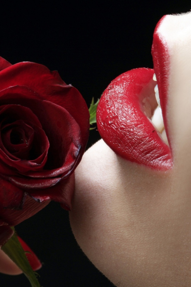 Обои Red Rose - Red Lips 640x960