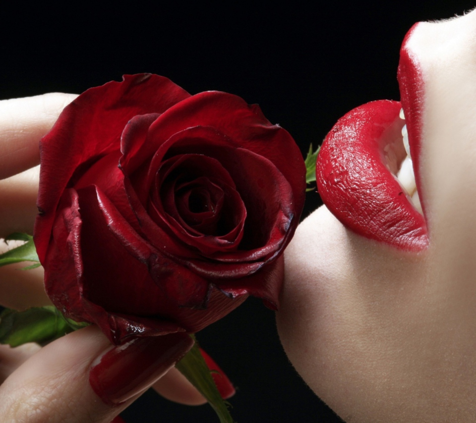 Обои Red Rose - Red Lips 960x854