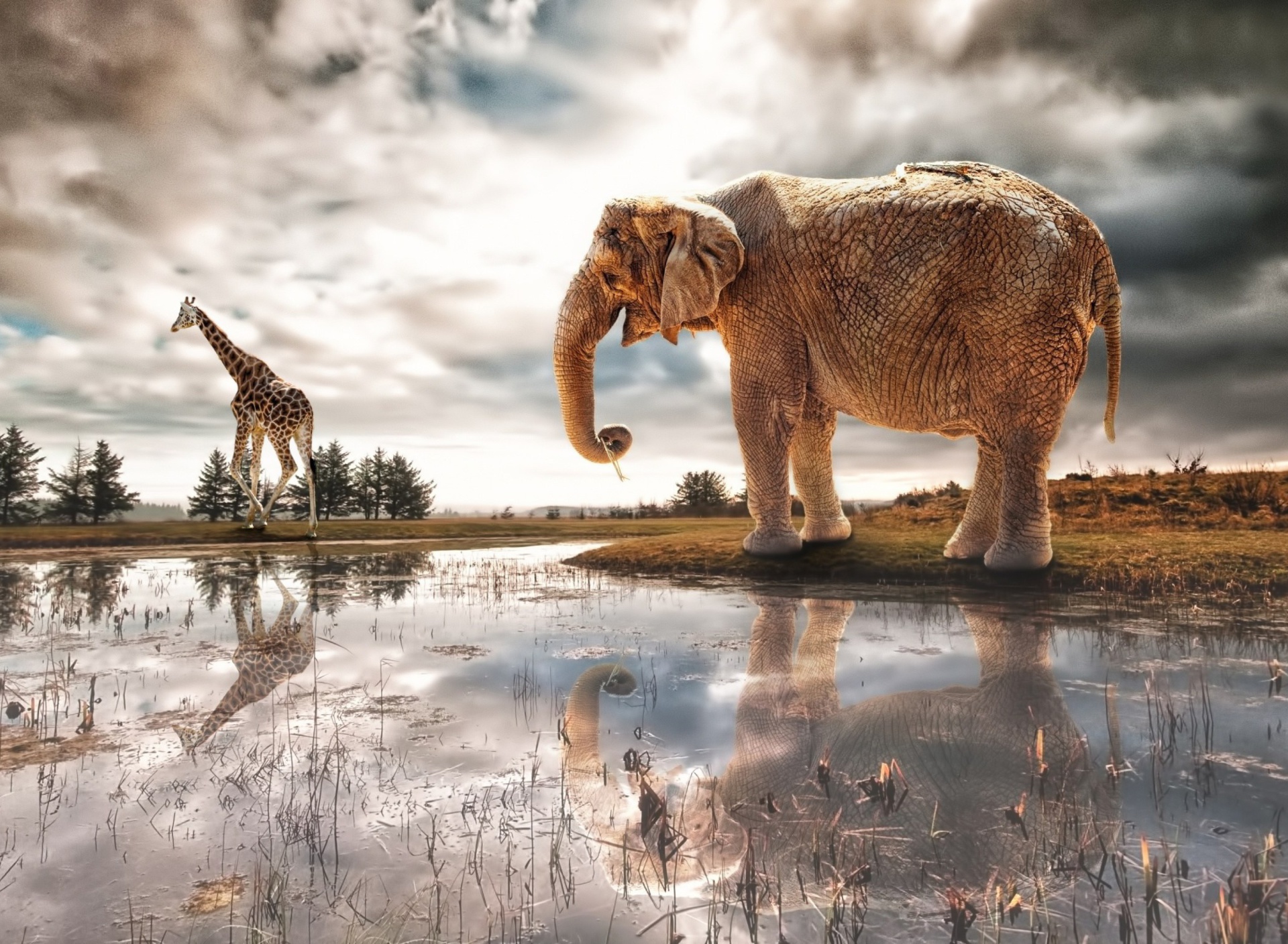 Fondo de pantalla Fantasy Elephant and Giraffe 1920x1408