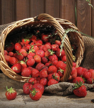 Strawberry Basket - Obrázkek zdarma pro Nokia Asha 308