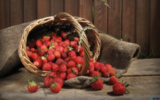 Strawberry Basket - Obrázkek zdarma pro Fullscreen Desktop 1600x1200